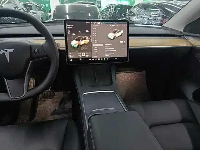 Tesla Model Y — Фото автомобиля 12