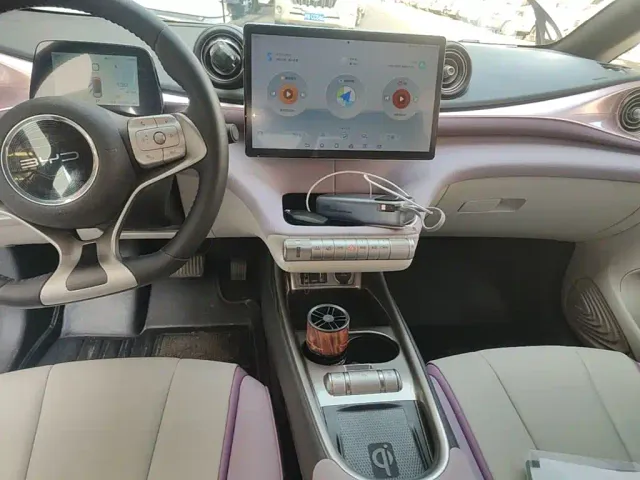 BYD Dolphin — Фото автомобиля 12