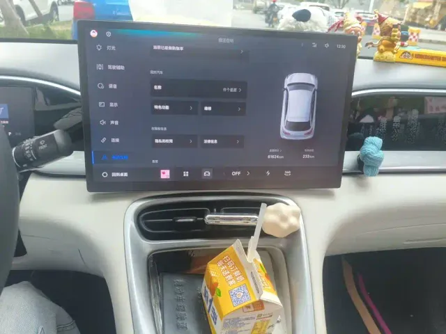 Geely Starry Wish — Фото автомобиля 9