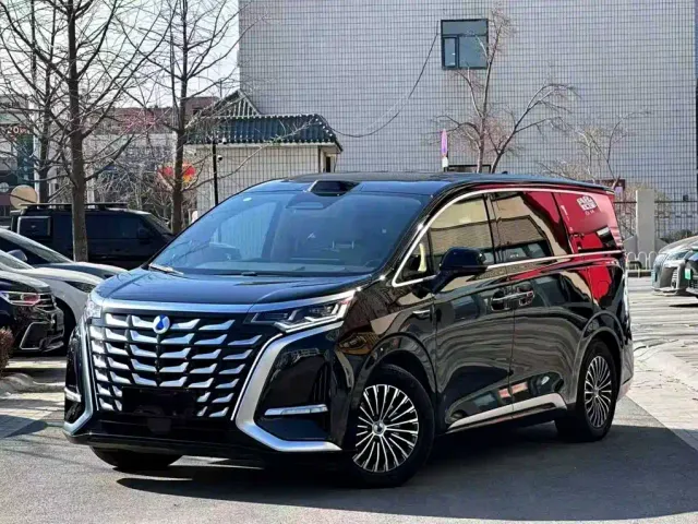 Фотография автомобиля — Denza D9