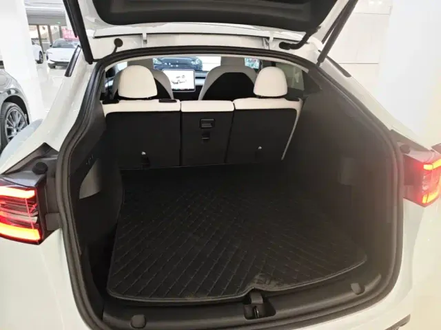Tesla Model Y — Фото автомобиля 18