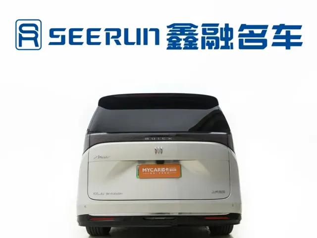 Buick Zhijing Shijia — Фото автомобиля 23