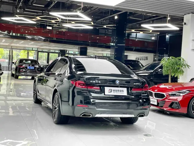 BMW 5 Series — Фото автомобиля 18