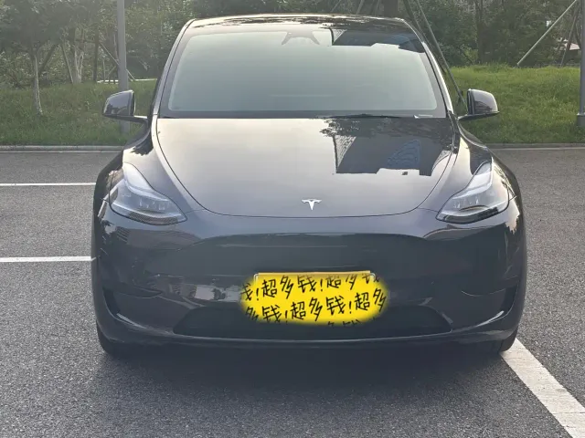 Tesla Model Y — Фото автомобиля 2