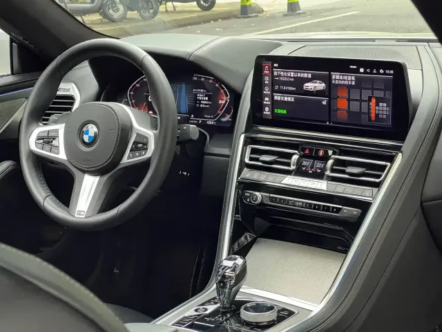 BMW 8 Series — Фото автомобиля 21