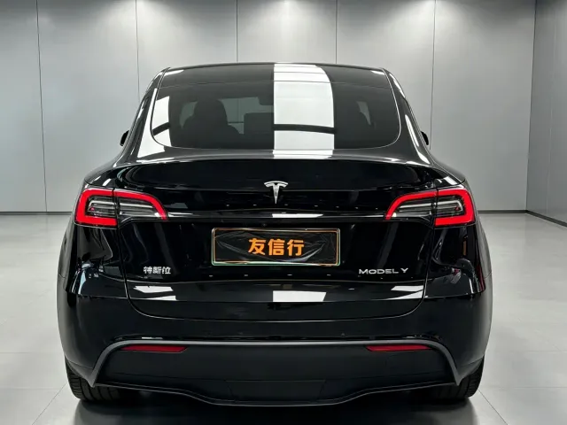 Tesla Model Y — Фото автомобиля 5