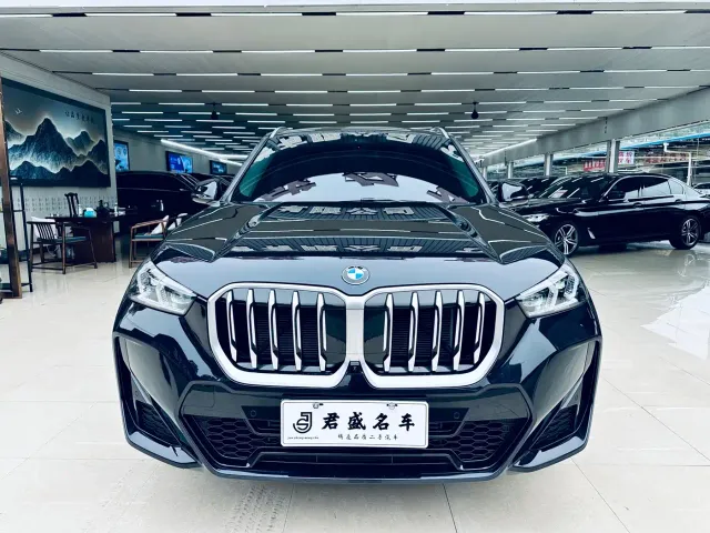 BMW X1 — Фото автомобиля 2