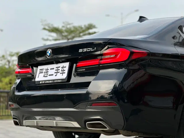 BMW 5 Series — Фото автомобиля 16