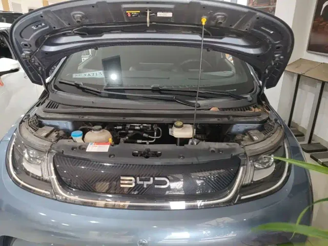 BYD Dolphin — Фото автомобиля 19