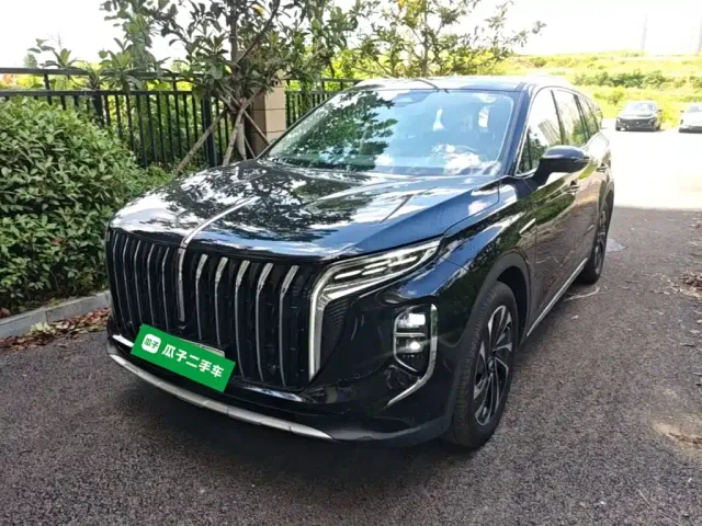 Фотография автомобиля — Hongqi HS7 PHEV
