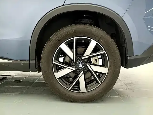 BYD Song Pro New Energy 2024 Glory Edition DM-i 71KM Pilot — Фото автомобиля 17