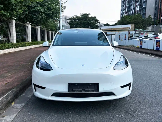Tesla Model Y — Фото автомобиля 2