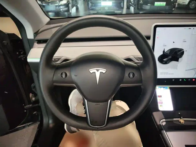 Tesla Model Y — Фото автомобиля 10