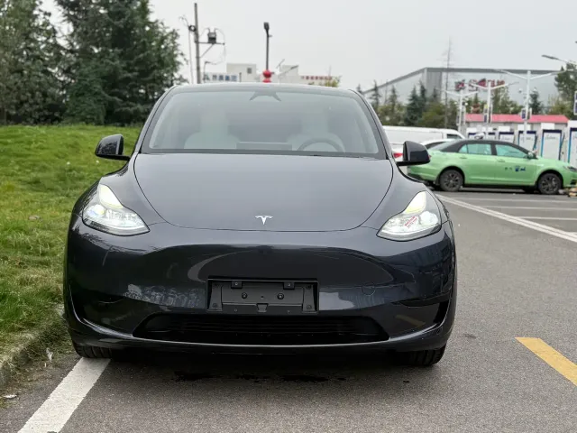 Tesla Model Y — Фото автомобиля 2