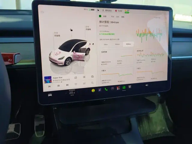 Tesla Model Y — Фото автомобиля 14
