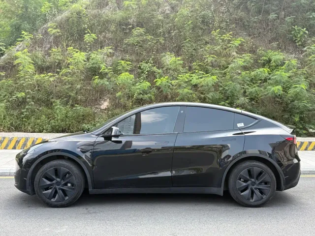 Tesla Model Y — Фото автомобиля 10
