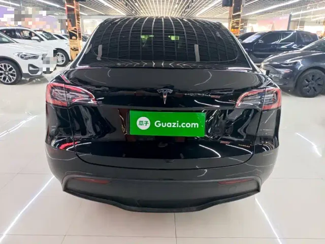 Tesla Model Y — Фото автомобиля 5