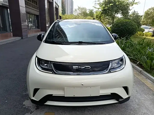 BYD Dolphin — Фото автомобиля 2