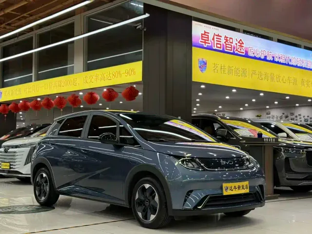 BYD Dolphin — Фото автомобиля 3