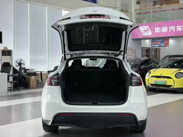 Tesla Model Y — Фото автомобиля 9