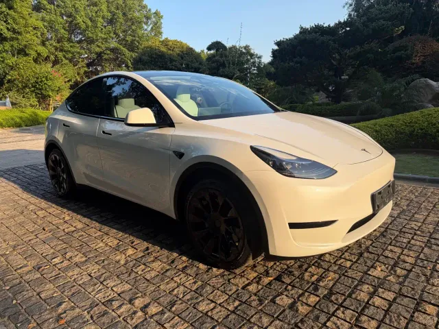 Tesla Model Y — Фото автомобиля 3