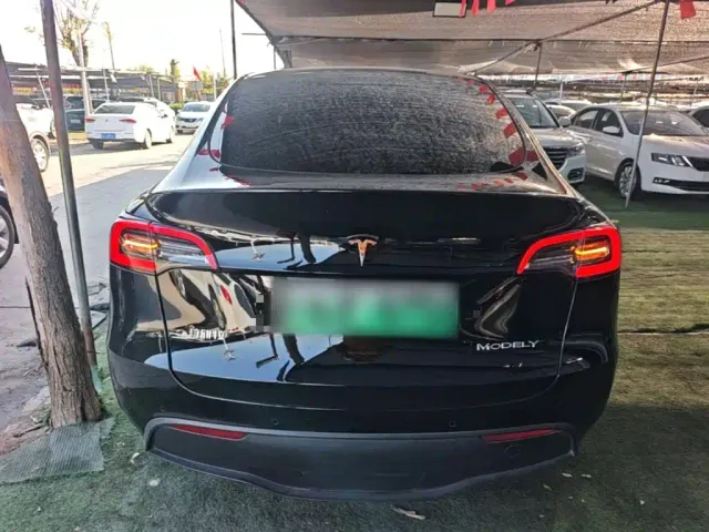 Tesla Model Y — Фото автомобиля 5
