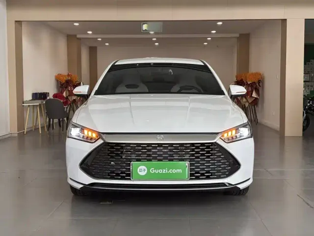 BYD Qin PLUS — Фото автомобиля 2