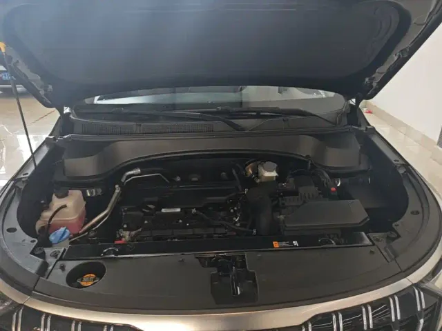 Kia Sportage — Фото автомобиля 19