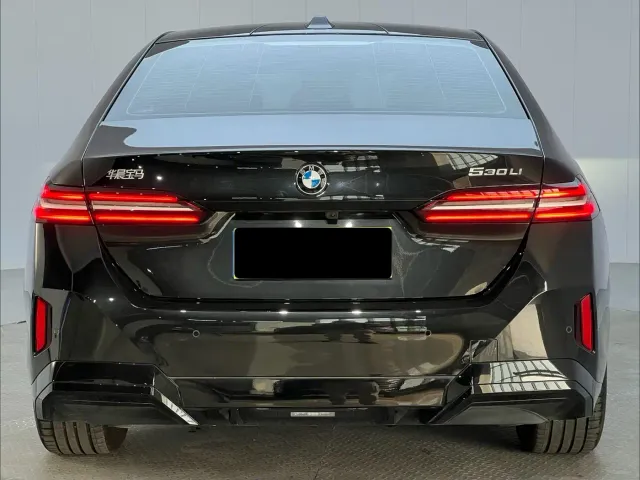 BMW 5 Series — Фото автомобиля 13