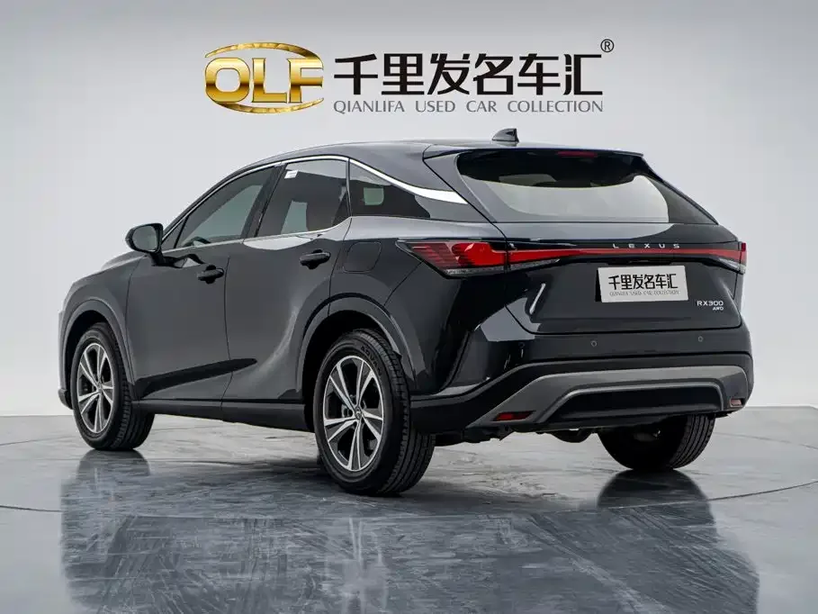 Lexus Lexus RX 2025 300 4WD Premium Edition — Фото автомобиля 8