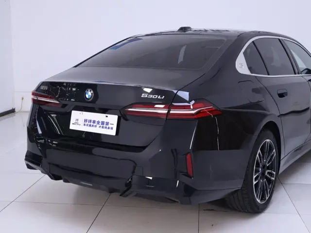 BMW 5 Series — Фото автомобиля 8