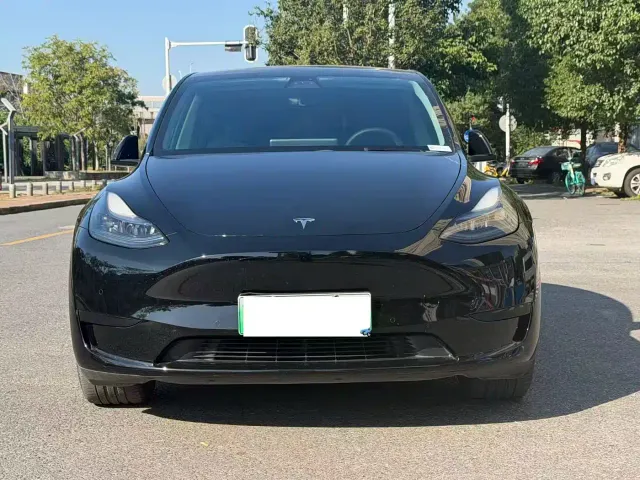 Tesla Model Y — Фото автомобиля 2