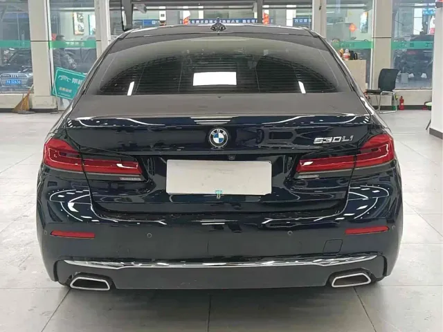 BMW 5 Series — Фото автомобиля 8