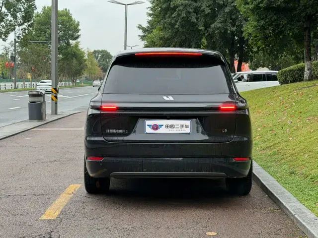 Li Auto L9 — Фото автомобиля 5