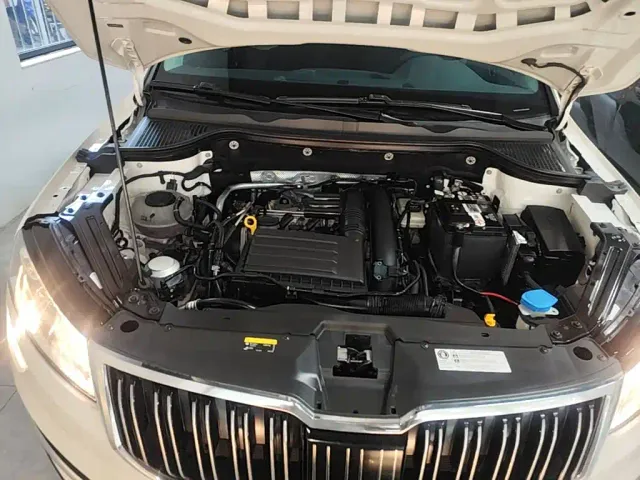 Skoda Karoq — Фото автомобиля 19