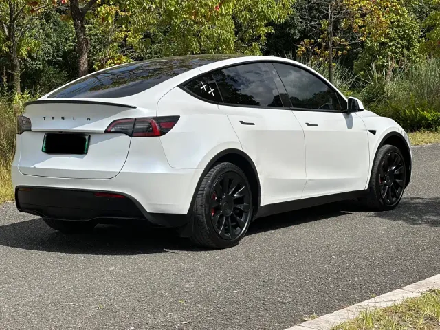 Tesla Model Y — Фото автомобиля 25