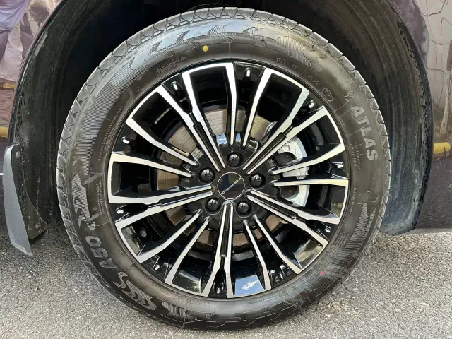 Forthing Xinghai V9 — Фото автомобиля 17