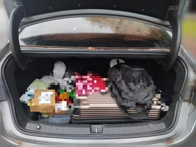 BYD Qin PLUS — Фото автомобиля 15