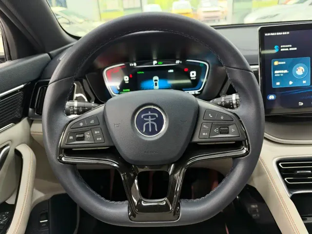 BYD Song PLUS — Фото автомобиля 16