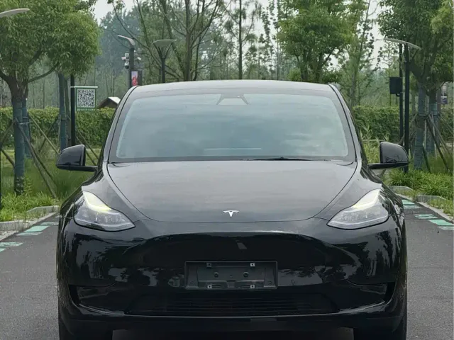 Tesla Model Y — Фото автомобиля 2