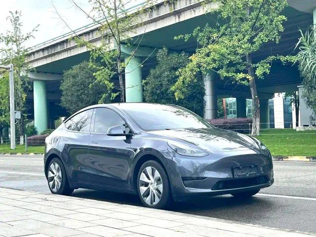 Tesla Model Y — Фото автомобиля 2