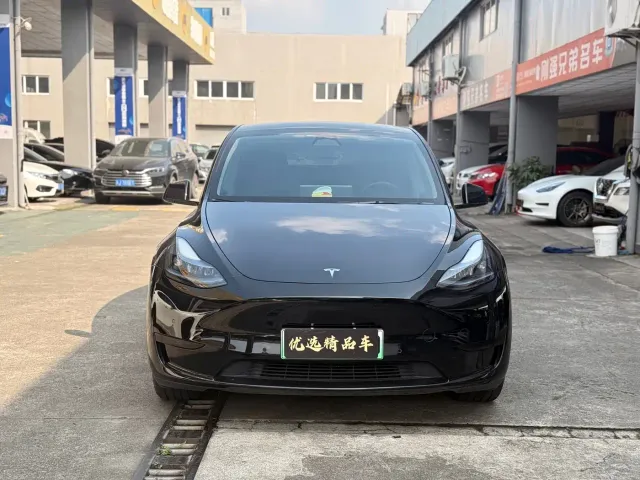 Tesla Model Y — Фото автомобиля 2
