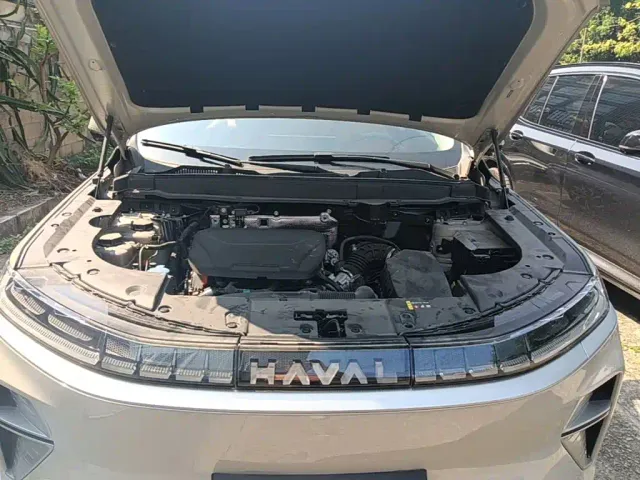 Haval Xiaolong MAX — Фото автомобиля 19
