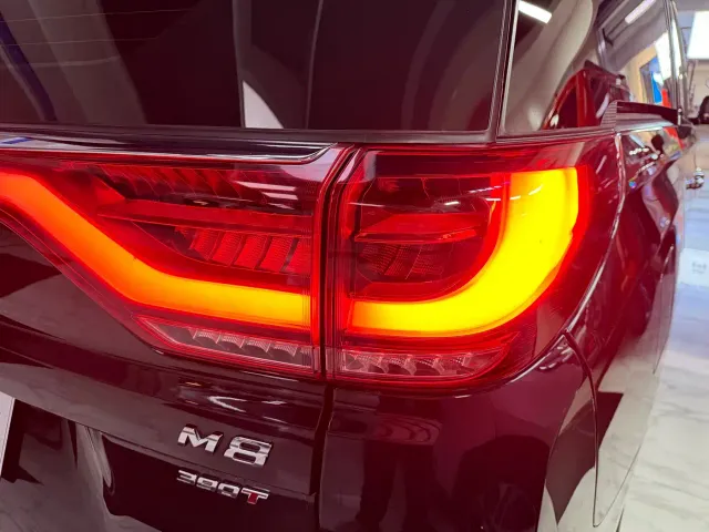 GAC Trumpchi M8 — Фото автомобиля 12