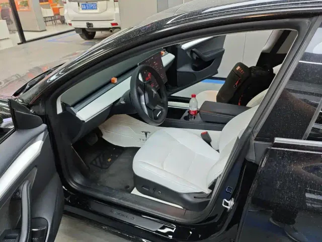 Tesla Model 3 — Фото автомобиля 3