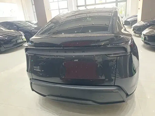 Tesla Model Y — Фото автомобиля 5