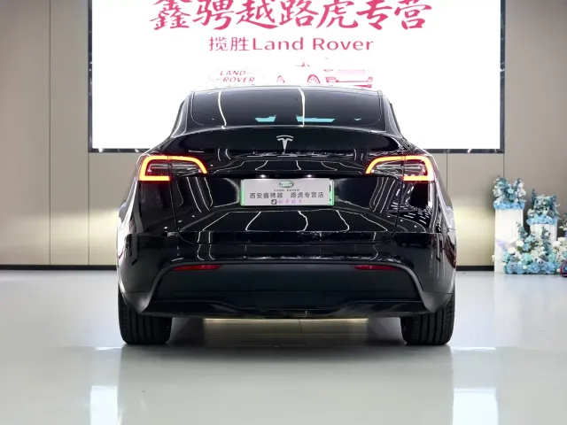 Tesla Model Y — Фото автомобиля 4