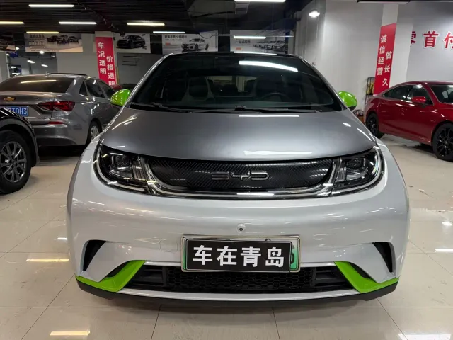 BYD Dolphin — Фото автомобиля 2