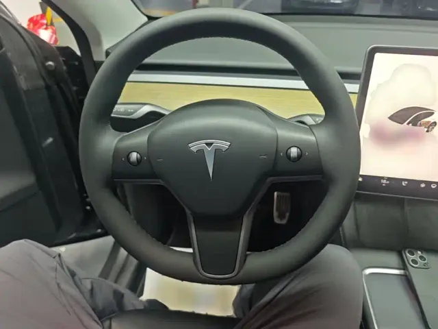 Tesla Model Y — Фото автомобиля 10