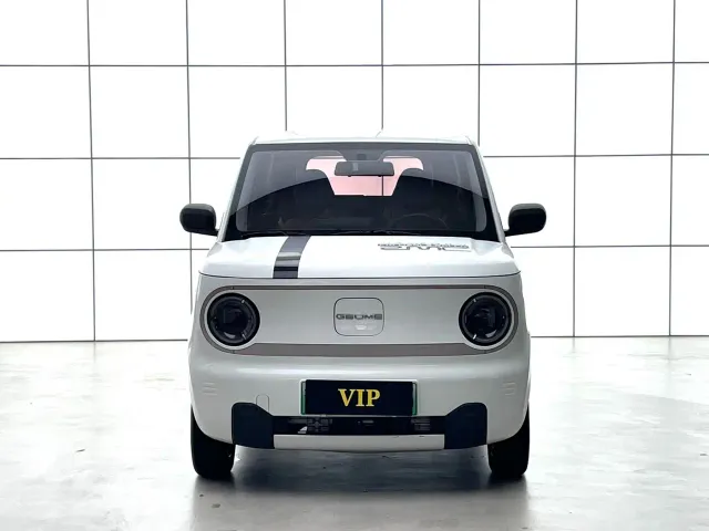 Geely Galaxy Panda 2023 Panda Mini 120km Super Cute Bear — Фото автомобиля 5